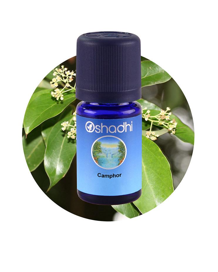 Camphor Essential Oil Aroma