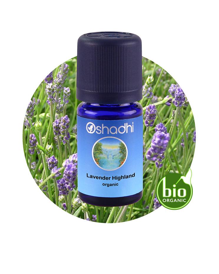 Lavender, Highland (organic)