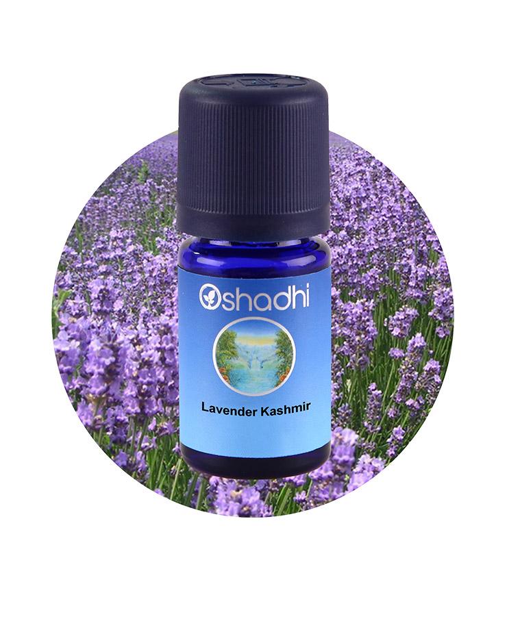 Lavender, Kashmir