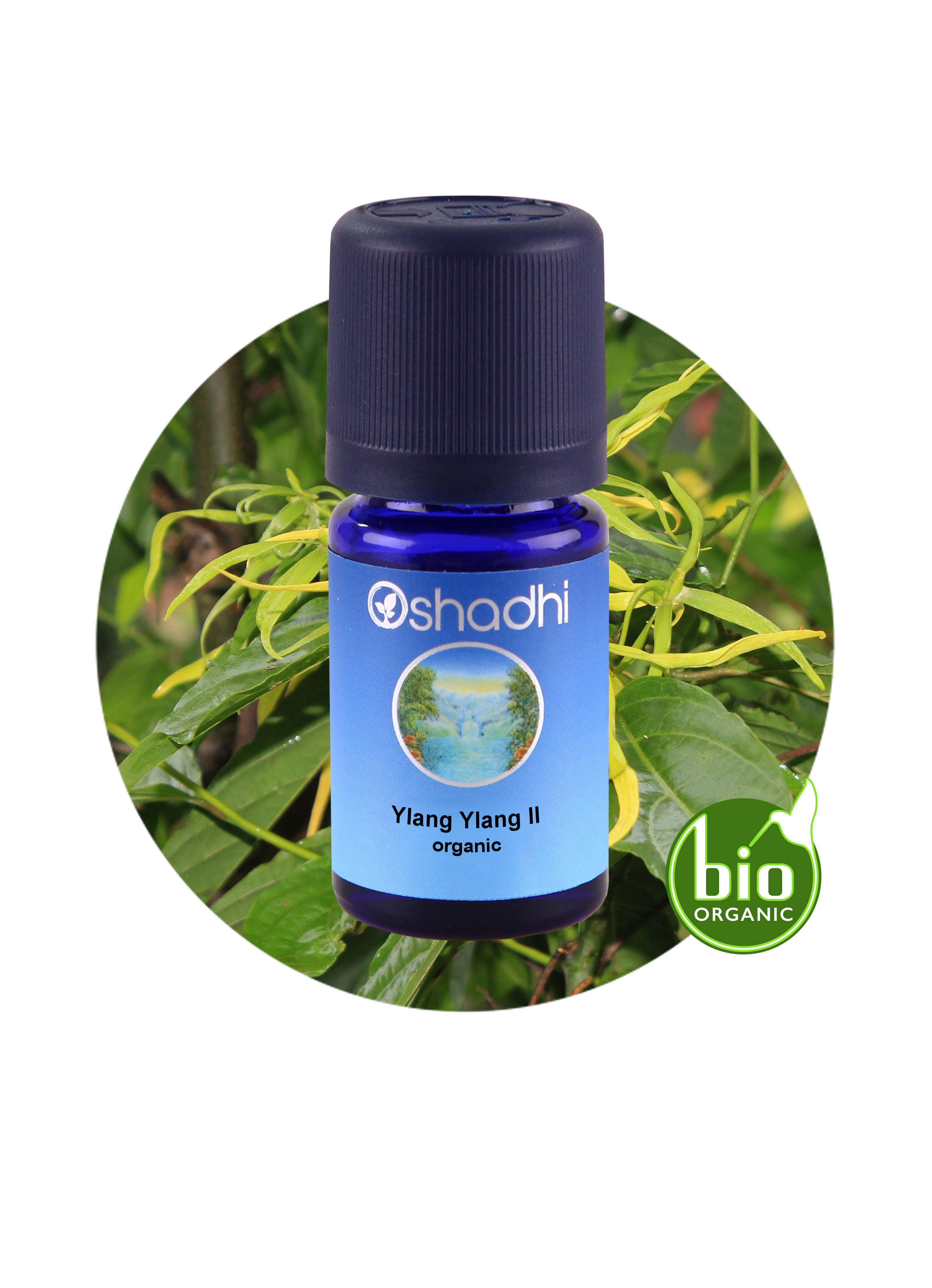 Huile Essentielle Ylang Ylang II - Extra 2ème Distillat - Flacon 500 Ml - Neuf